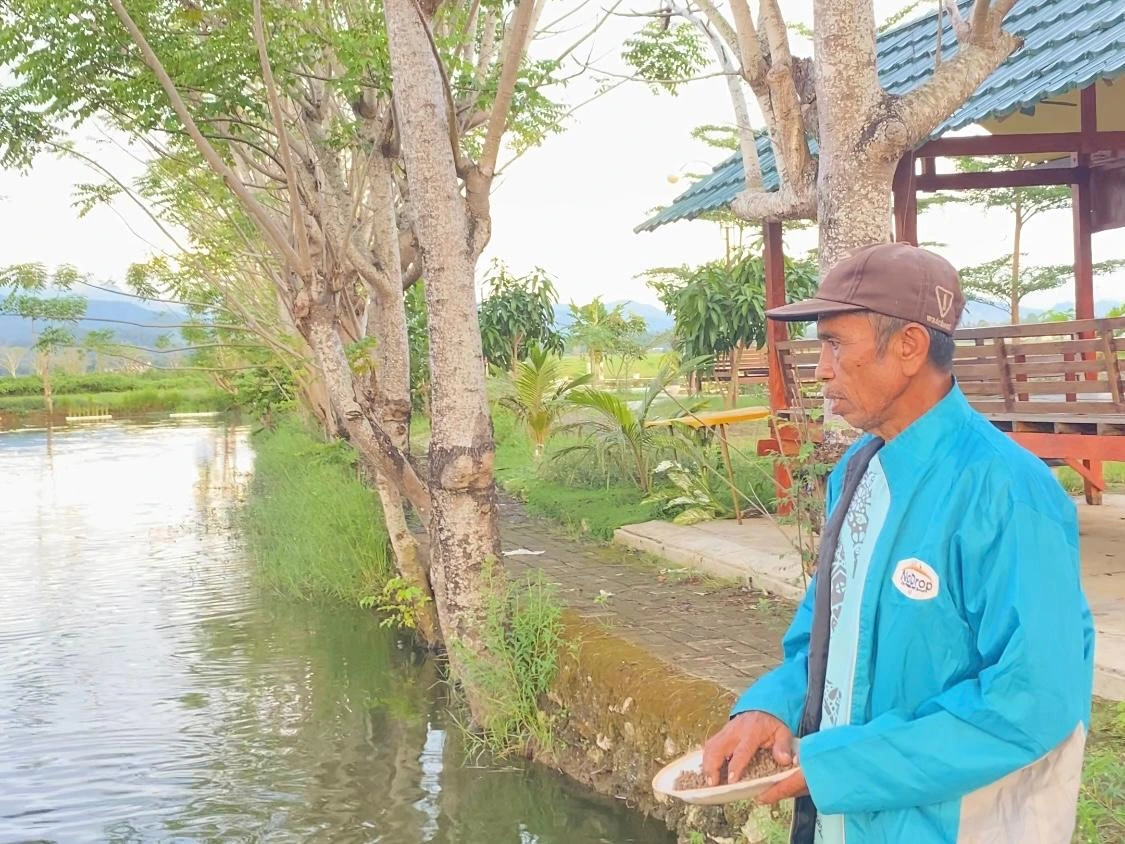 Pemberian Pakan Terukur